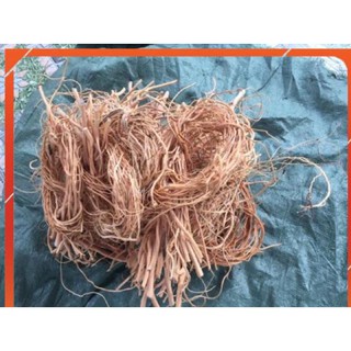 Lũa Rễ Rừng - Trang trí bố cục bể thuỷ sinh
