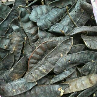 500g trái bồ kết khô.