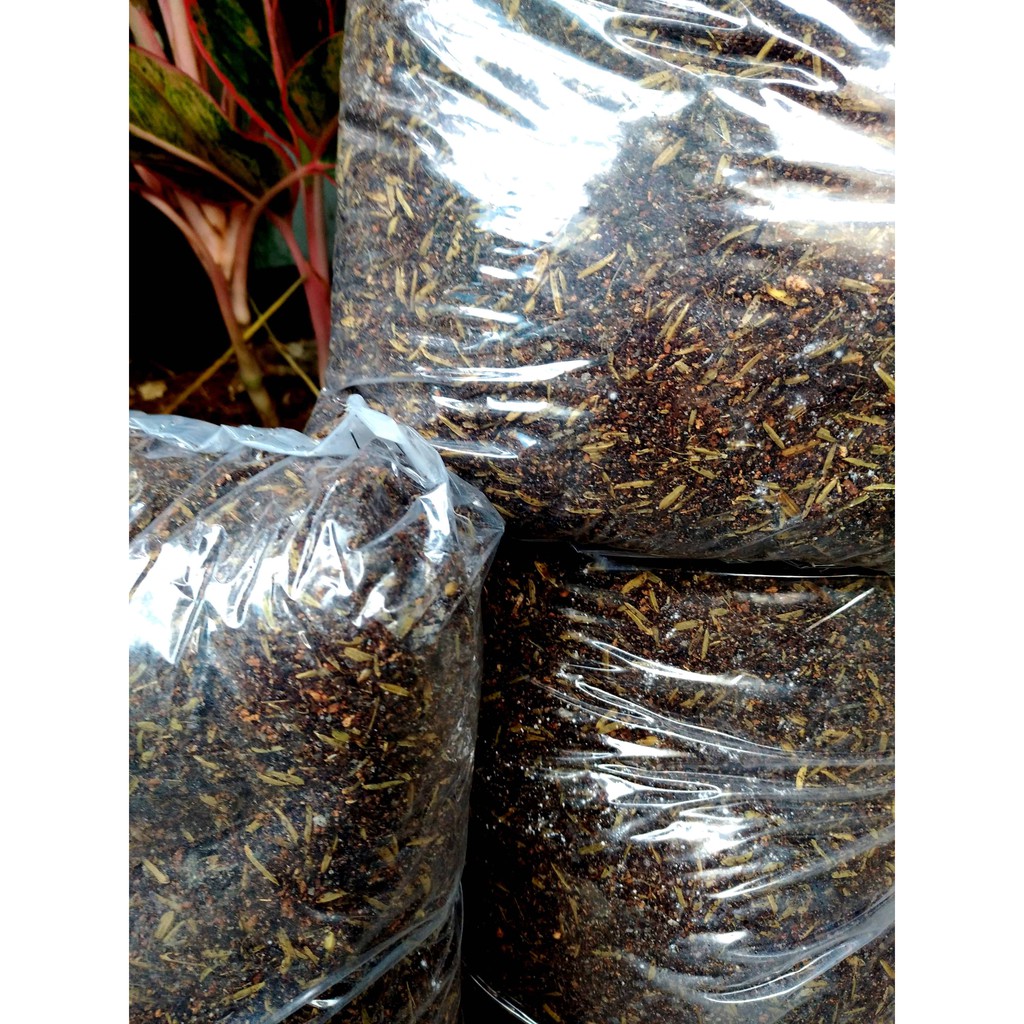 Đất trồng mai giá thể trồng mai 2kg