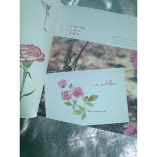 Artbook dạy vẽ màu nước postcard