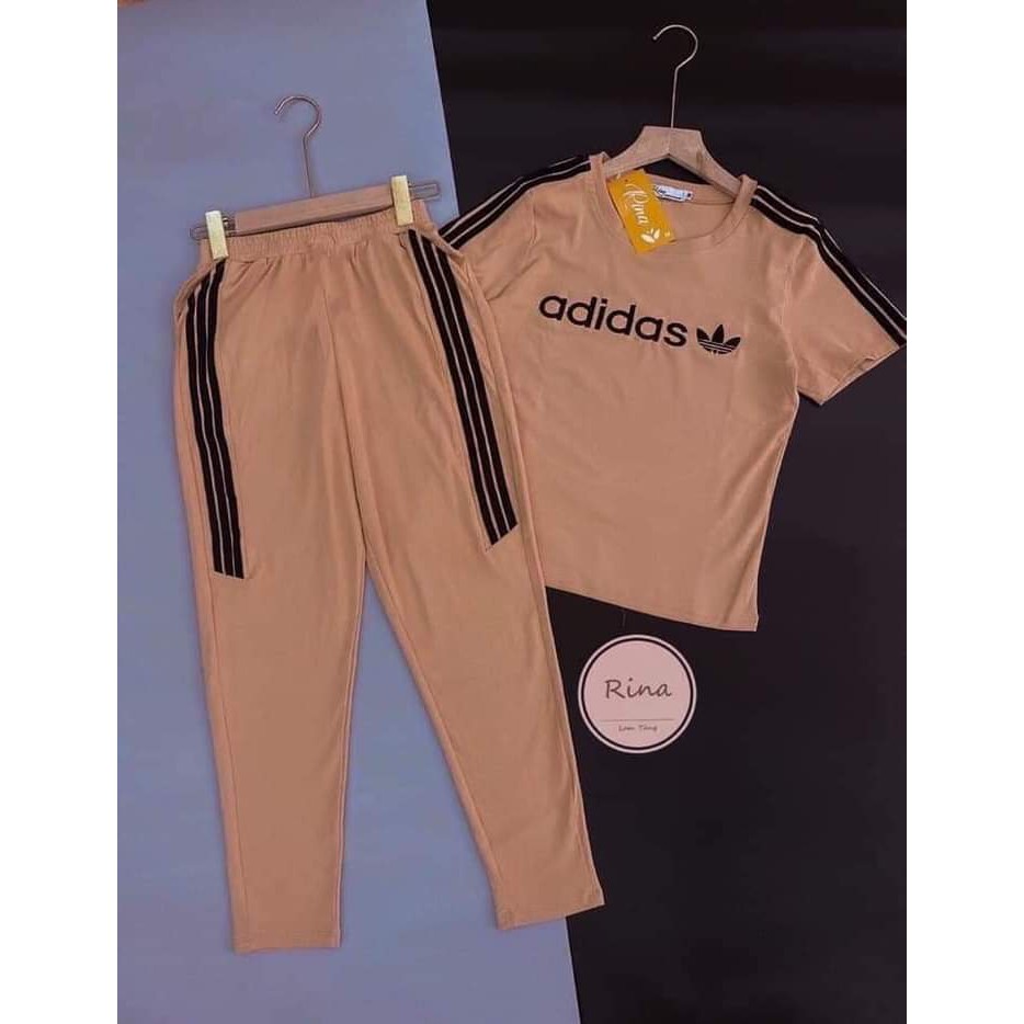 Bộ Quần Áo Thể Thao Nữ Thun Cao Cấp, Bộ Adidas Nữ Cho Mùa Hè Tự Tin, Năng  Động. | Holcim - Kênh Xây Dựng Và Nội Thất