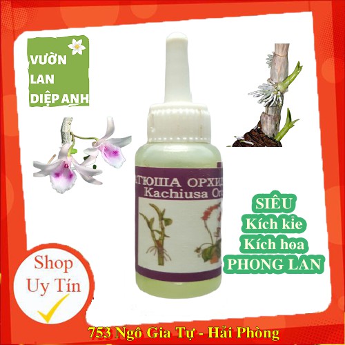 [GIẢM SỐC-Tri ân] Thuốc kích nở hoa lan kachiusa 20ml -Nhân giống ki lan , kích keiki , kích thích nở hoa -Nhập khẩu Nga