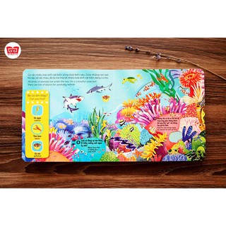 Sách chuyển động - First explorers - Sea creatures - Sinh vật biển