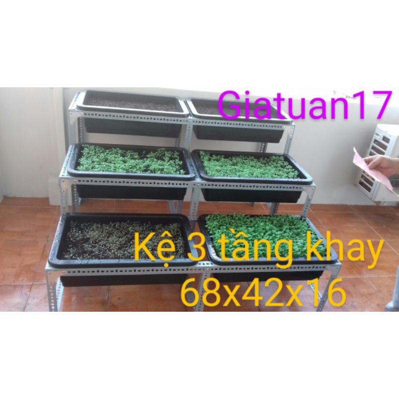 Kệ khung sắt v lỗ bậc thang trồng rau 3 tầng mỗi tầng 2 khay 68x42x15 cm, 67x43x15 cm