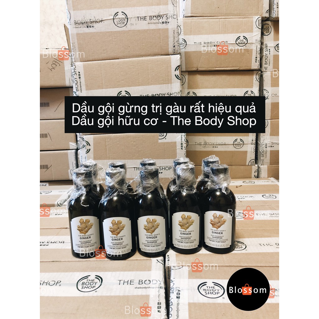 Dầu gội hữu cơ - gừng tóc gàu/ fuji kiềm dầu - The body shop rất hiệu quả rất thích | BigBuy360 - bigbuy360.vn