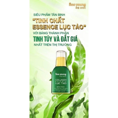 Serum Tinh Chất Collagen Essence Lục Tảo Soo young