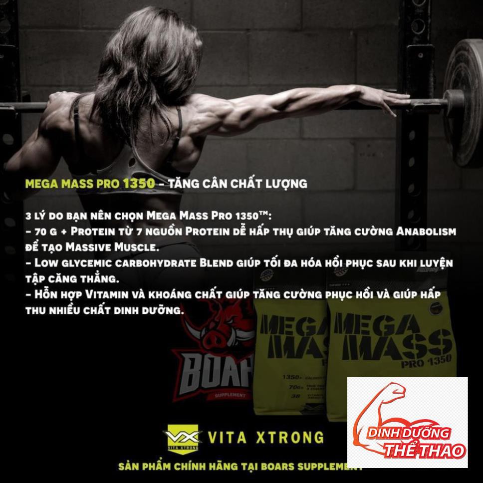 MEGA MASS 1350 - SỮA TĂNG CÂN CHẤT LƯỢNG (12 LBS)