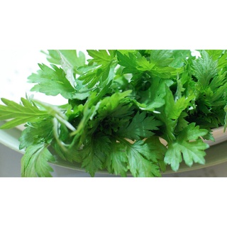 Bột Ngải Cứu  Nguyên Chất 100%