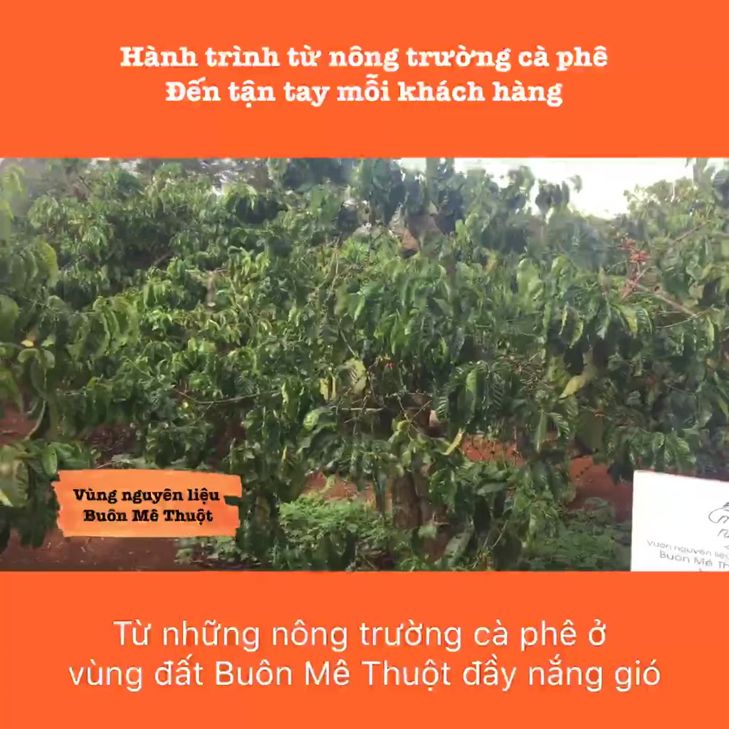 Túi thơm hạt cà phê treo xe ô tô, tủ quần áo, phòng khách, phòng bếp khử mùi ẩm mốc S075 | BigBuy360 - bigbuy360.vn