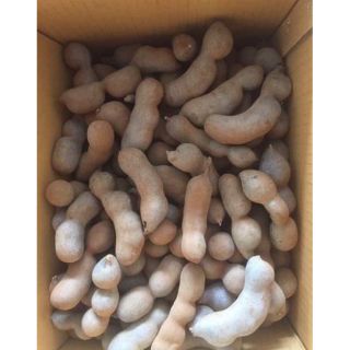 THÙNG 10KG ME THÁI SẤY NGỌT DẺO