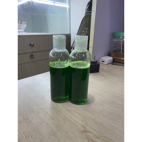 Hương Liệu Xanh Ngâm ngô Câu Cá Trắm Trắng Và Chép