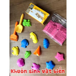 Đồ chơi khuôn chơi cát nhiều chủ đề