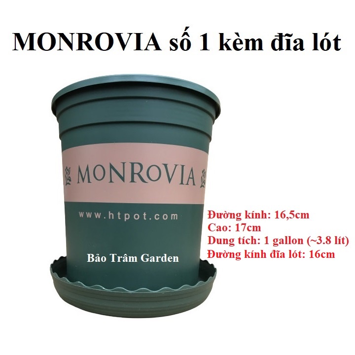 Chậu nhựa trồng cây cao cấp Monrovia số 1 kèm đĩa lót đáy