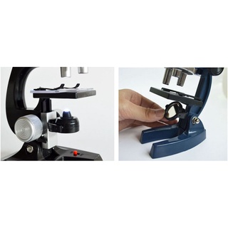 Bộ kính hiển vi trẻ em Microscope 500x