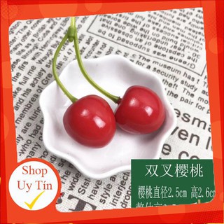 Cherry đôi làm phụ kiện chụp ảnh/trang trí