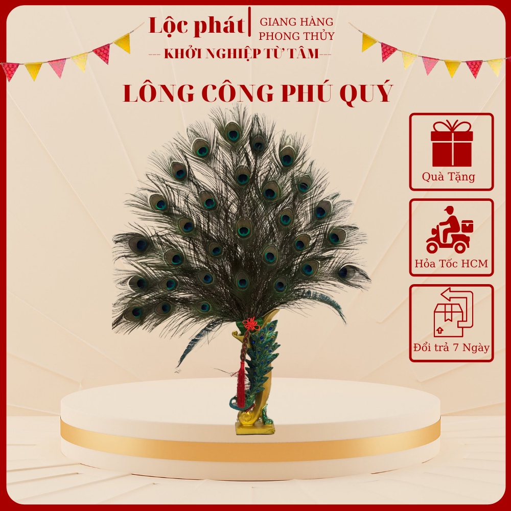 Lông công Tài lộc mắt to dài 25cm- 100cm ( Bán từ 10 cành)