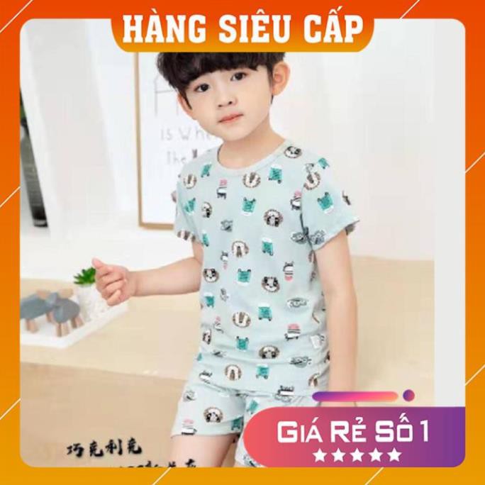 Bộ cotton mùa hè thấm hút mồ hôi họa tiết xuất hàn cao cấp cho bé từ 8 đến 16 kg