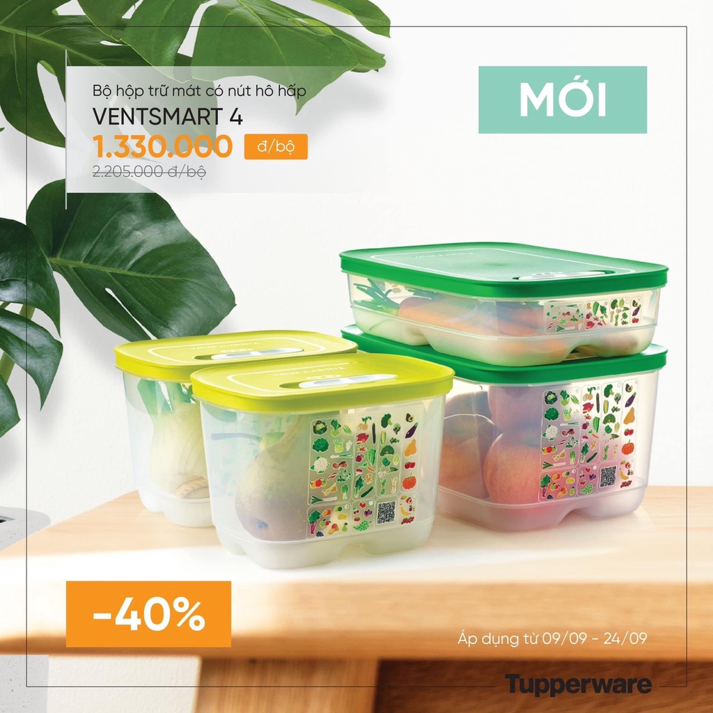 Bộ hộp trữ mát Vensmart 4 mẫu mới
