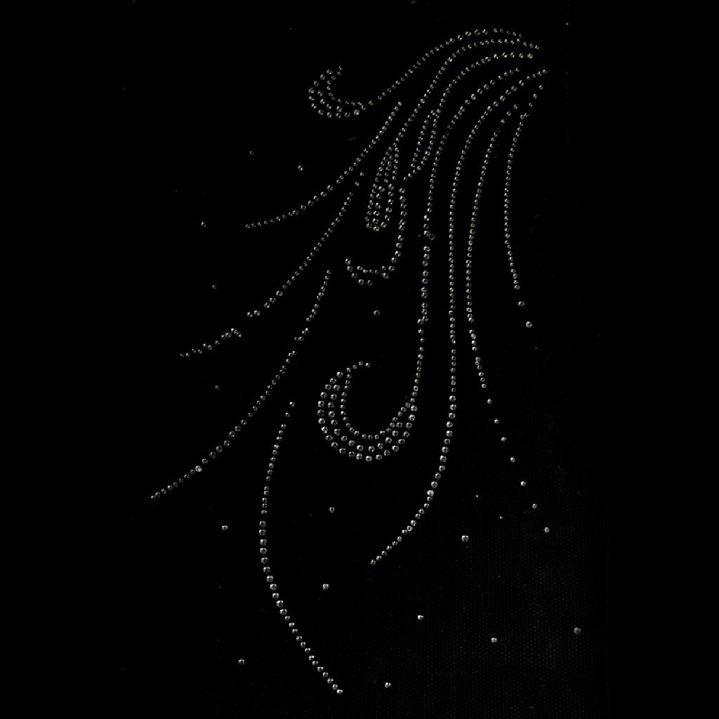 Miếng vá vải trang trí bằng cách ủi chuyển nhiệt hình lông vũ đính kim sa pha lê long lanh