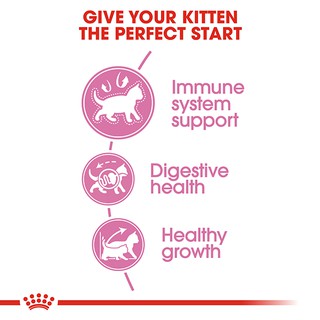 canin kitten 36 gói 1kg