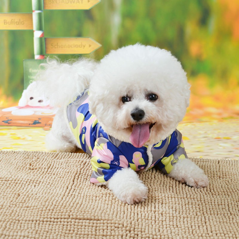 Quần áo cho chó con thu đông mèo Bichon Chihuahua và mèo, đệm bông cộng với vải nhung dày nhỏ