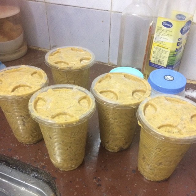 [FREESHIP 99K TOÀN QUỐC] Pate tươi chó mèo