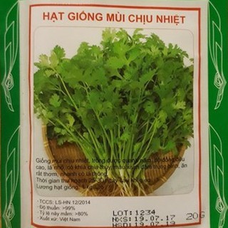 Hạt giống rau mùi ta chịu nhiệt ( rau ngò ) { 20gram }