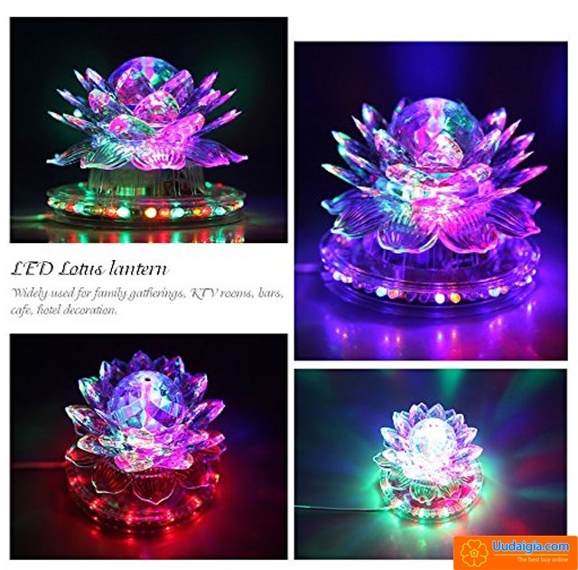 led lotus lantern 2