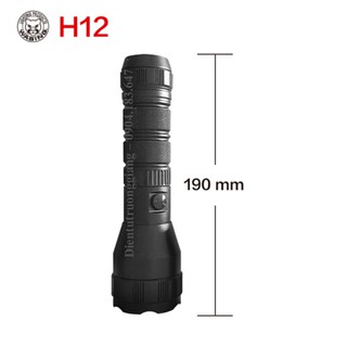 Đèn Pin Wasing WFL-H12 (hàng công ty)