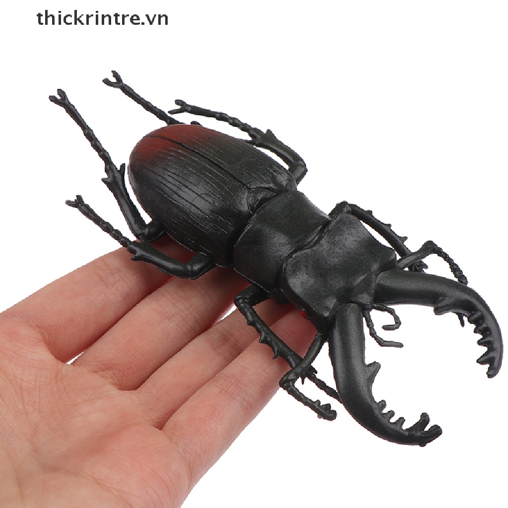 Đồ chơi mô hình bọ cánh cứng sáng tạo dùng dạy học cho bé
