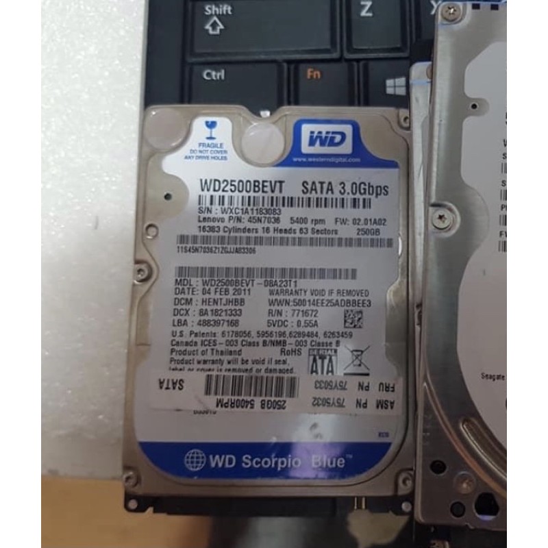 Ổ Cứng Laptop Cũ 250Gb 320Gb 500Gb 1000Gb Bóc Máy | BigBuy360 - bigbuy360.vn