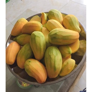 xoài lép Ăn Giang chuẩn xịn