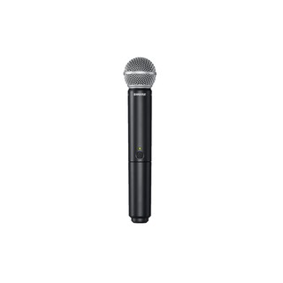 Micro Không Dây Shure BLX288A/PG58