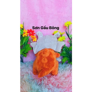 Thú Nhồi Bông Pokemon