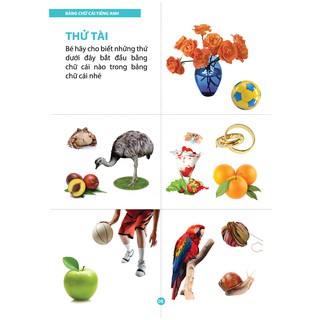 Từ Điển Tiếng Anh Bằng Hình