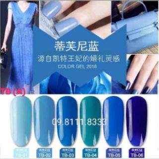 Sỉ sơn gel as