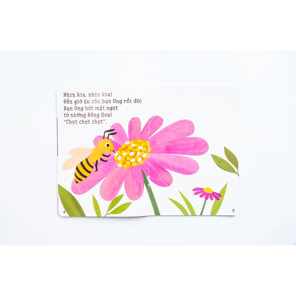 Sách Ehon Nhận Biết Acototo Bộ 4 cuốn | BigBuy360 - bigbuy360.vn