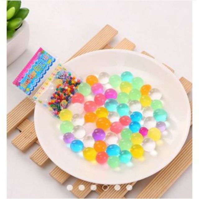 Hạt nở trồng cây thủy sinh