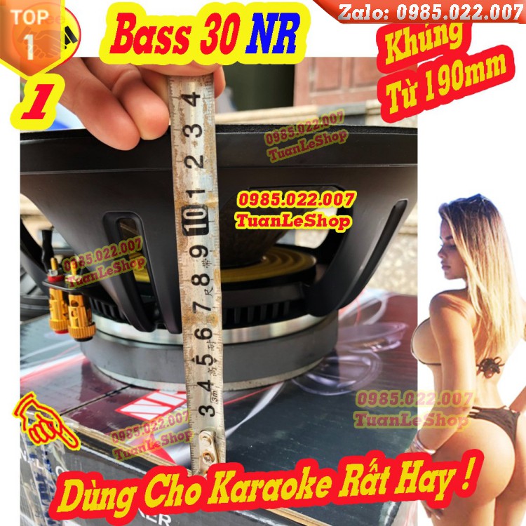 MỘT CỦ LOA KARAOKE BASS 30 NR AUDIO CHÍNH HÃNG - TỪ 190 CÔN 75 – LOA 3 TẤC