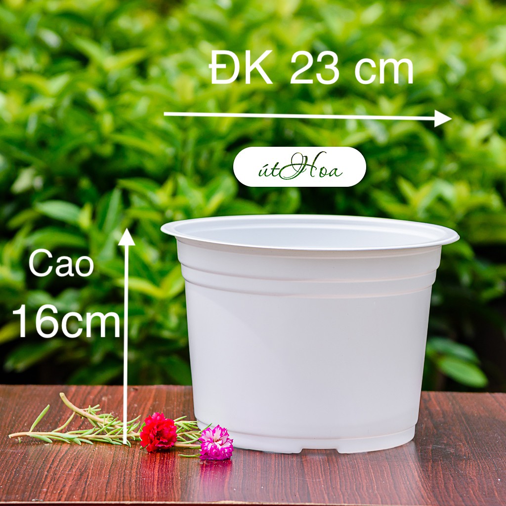 [ Sỉ từ 20 cái Chậu nhựa trắng T23 có vành miệng cứng