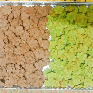 Bánh quy trà xanh_ cacao