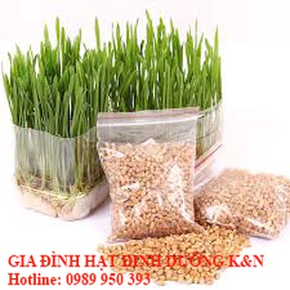 1Kg Cỏ lúa mì