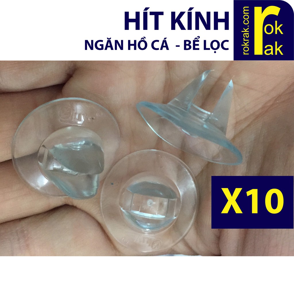 Combo 10 Hít kính giữ vách Ngăn Hồ cá bể lọc chắc chắn