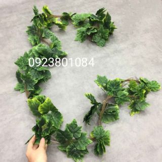 Dây lá thường xuân xịn dài 2m4- Dây lá giả