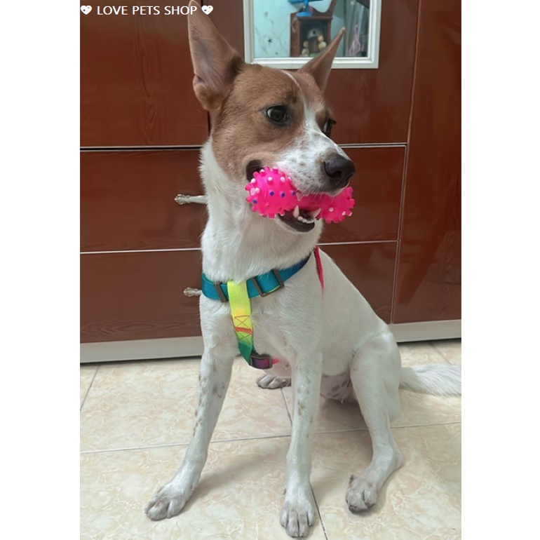 ĐAI YẾM NGỰC CHO CHÓ MÈO (KHÔNG BAO GỒM DÂY DẮT) - LOVE PETS SHOP