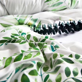 Bộ chăn ga cotton