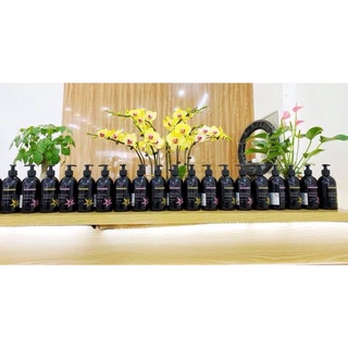 Dầu gội Beli Collagen