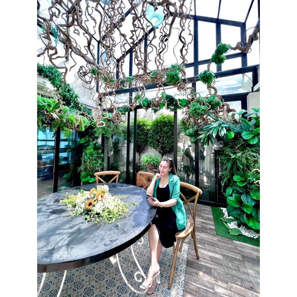 Dây rừng  dây leo tự nhiên trang trí