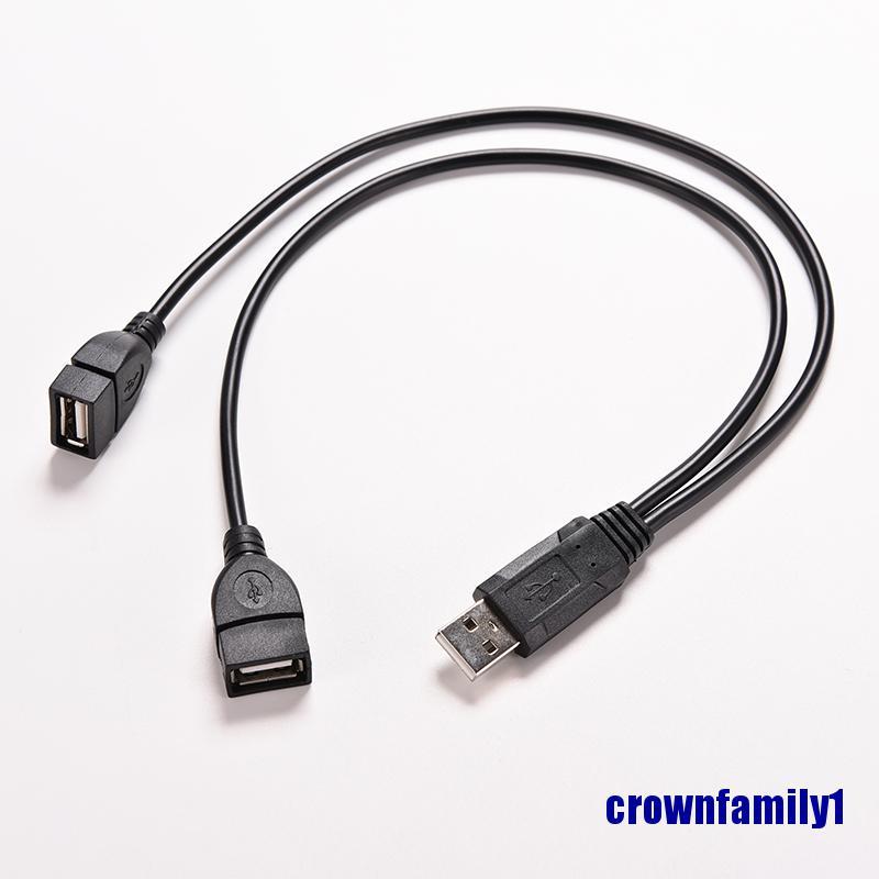 Giắc Cắm Usb 2.0 A Male Sang 2 Dual Usb Female C P Chia &lt; Crownfamily1 &gt;