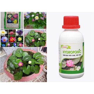 Dung Dịch Thủy Canh HYDROPONIC 100ML